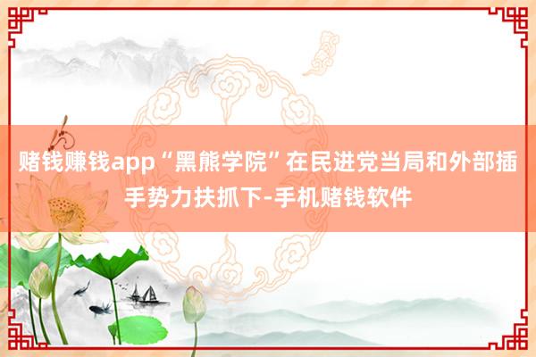赌钱赚钱app“黑熊学院”在民进党当局和外部插手势力扶抓下-手机赌钱软件