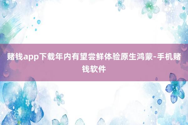 赌钱app下载年内有望尝鲜体验原生鸿蒙-手机赌钱软件