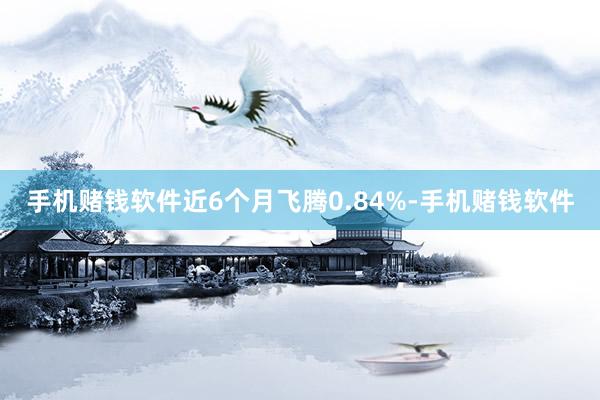 手机赌钱软件近6个月飞腾0.84%-手机赌钱软件