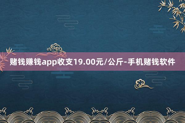 赌钱赚钱app收支19.00元/公斤-手机赌钱软件