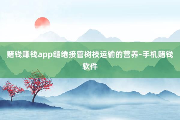 赌钱赚钱app缱绻接管树枝运输的营养-手机赌钱软件