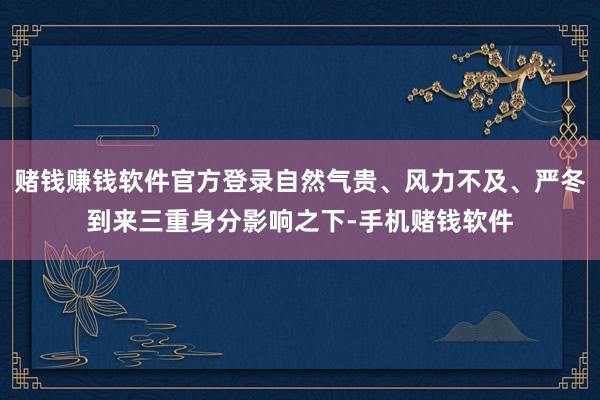 赌钱赚钱软件官方登录自然气贵、风力不及、严冬到来三重身分影响之下-手机赌钱软件