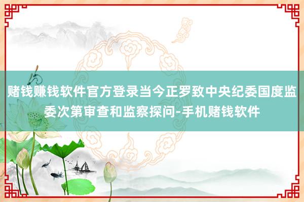 赌钱赚钱软件官方登录当今正罗致中央纪委国度监委次第审查和监察探问-手机赌钱软件