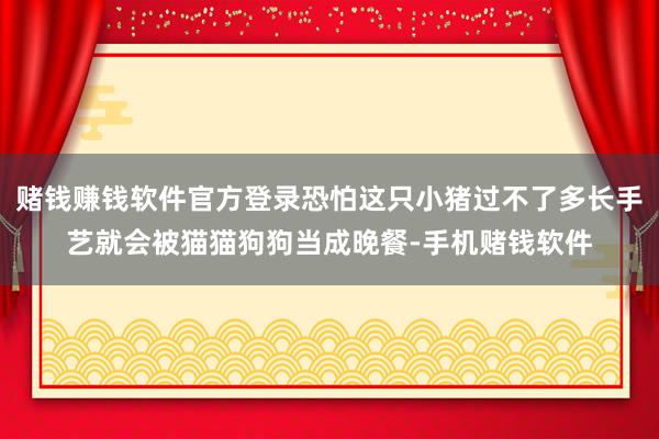 赌钱赚钱软件官方登录恐怕这只小猪过不了多长手艺就会被猫猫狗狗当成晚餐-手机赌钱软件