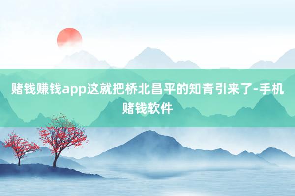 赌钱赚钱app这就把桥北昌平的知青引来了-手机赌钱软件