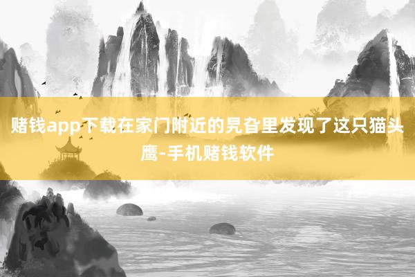 赌钱app下载在家门附近的旯旮里发现了这只猫头鹰-手机赌钱软件
