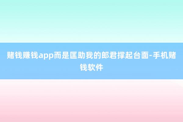 赌钱赚钱app而是匡助我的郎君撑起台面-手机赌钱软件