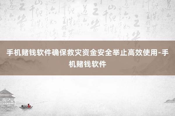 手机赌钱软件确保救灾资金安全举止高效使用-手机赌钱软件