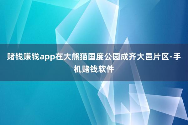 赌钱赚钱app在大熊猫国度公园成齐大邑片区-手机赌钱软件
