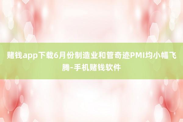 赌钱app下载6月份制造业和管奇迹PMI均小幅飞腾-手机赌钱软件
