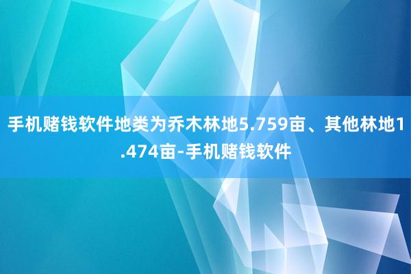 手机赌钱软件地类为乔木林地5.759亩、其他林地1.474亩-手机赌钱软件