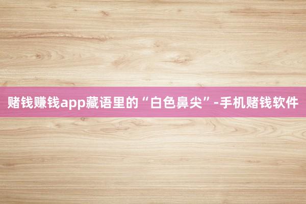 赌钱赚钱app藏语里的“白色鼻尖”-手机赌钱软件