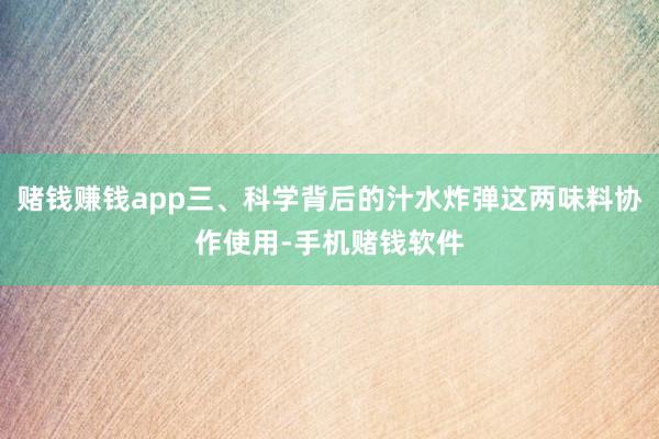 赌钱赚钱app三、科学背后的汁水炸弹这两味料协作使用-手机赌钱软件