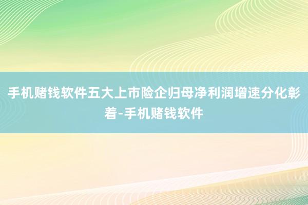 手机赌钱软件五大上市险企归母净利润增速分化彰着-手机赌钱软件