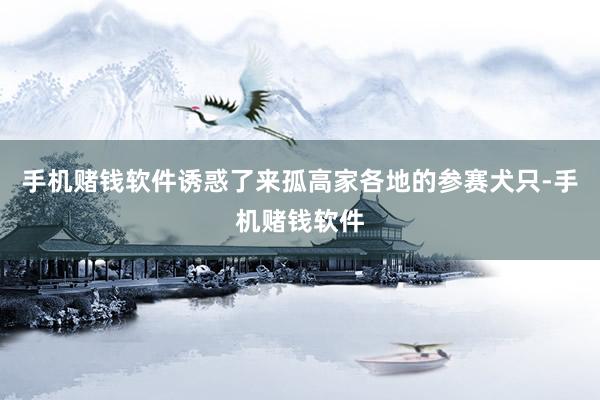 手机赌钱软件诱惑了来孤高家各地的参赛犬只-手机赌钱软件